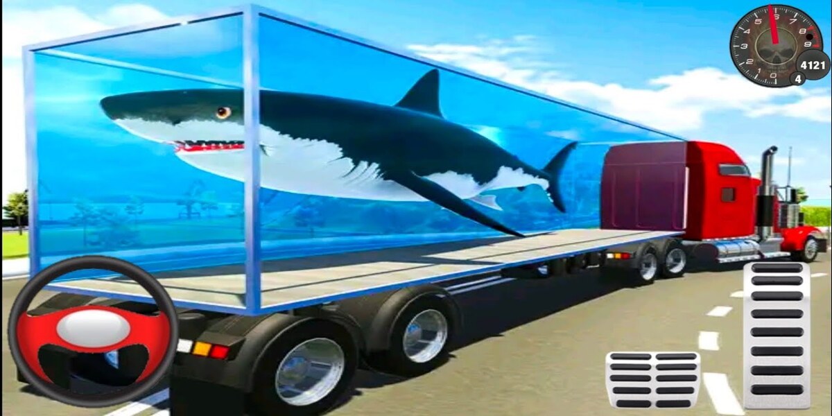 Sea Animal Transport