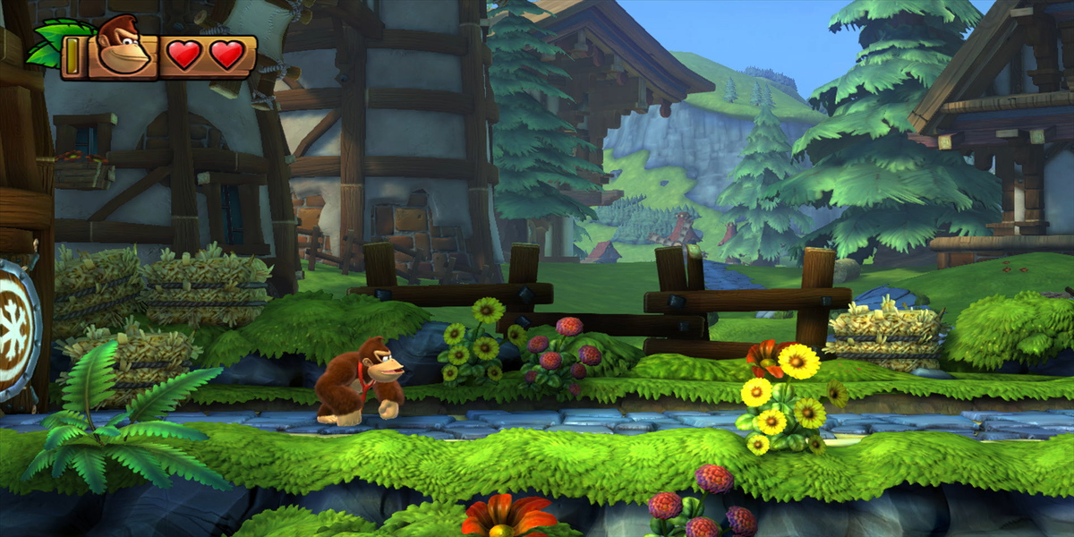 Donkey Kong Country open