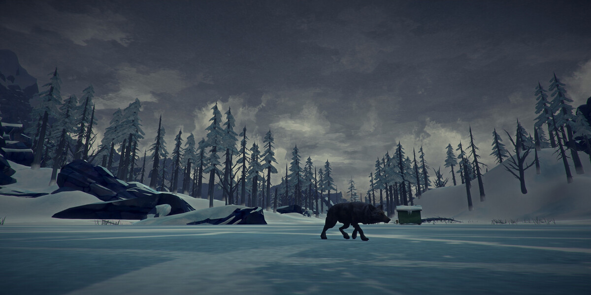 The Long Dark open