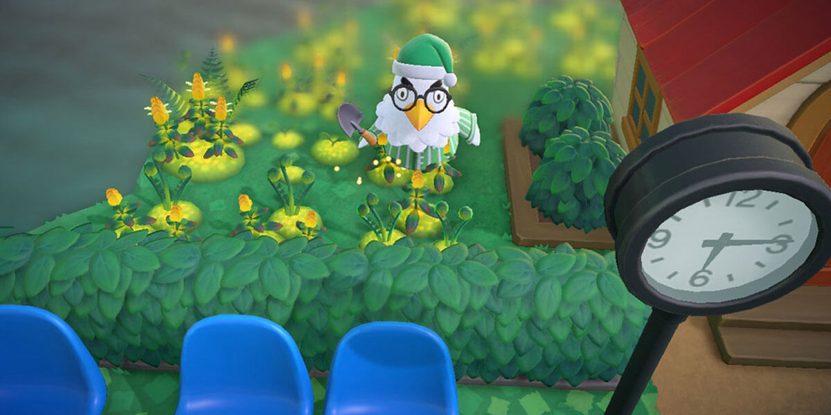 Animal Crossing: New Horizons - Happy Home Paradise สวน