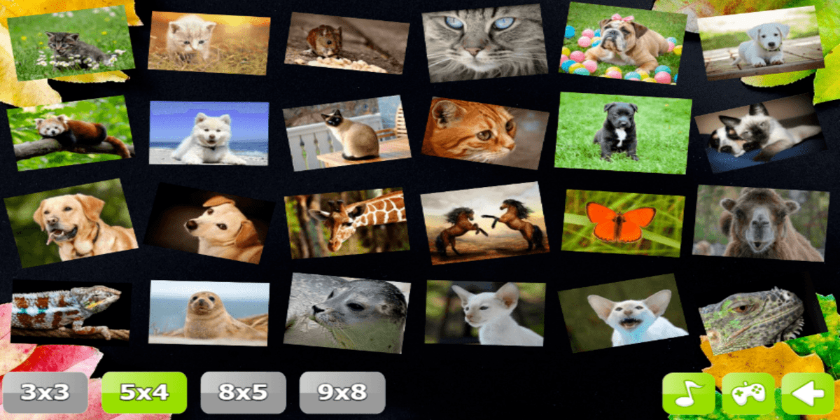 Jigsaw Puzzle Collection Animals