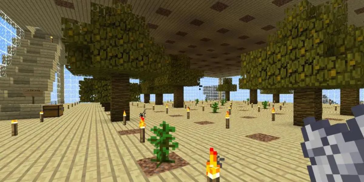 Minecraft: การทำฟาร์ม 