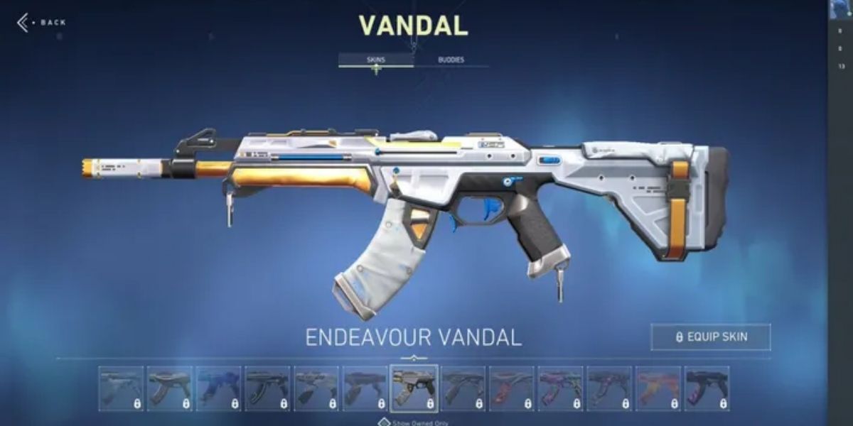 ปืนที่ดีที่สุด Valorant Vandal