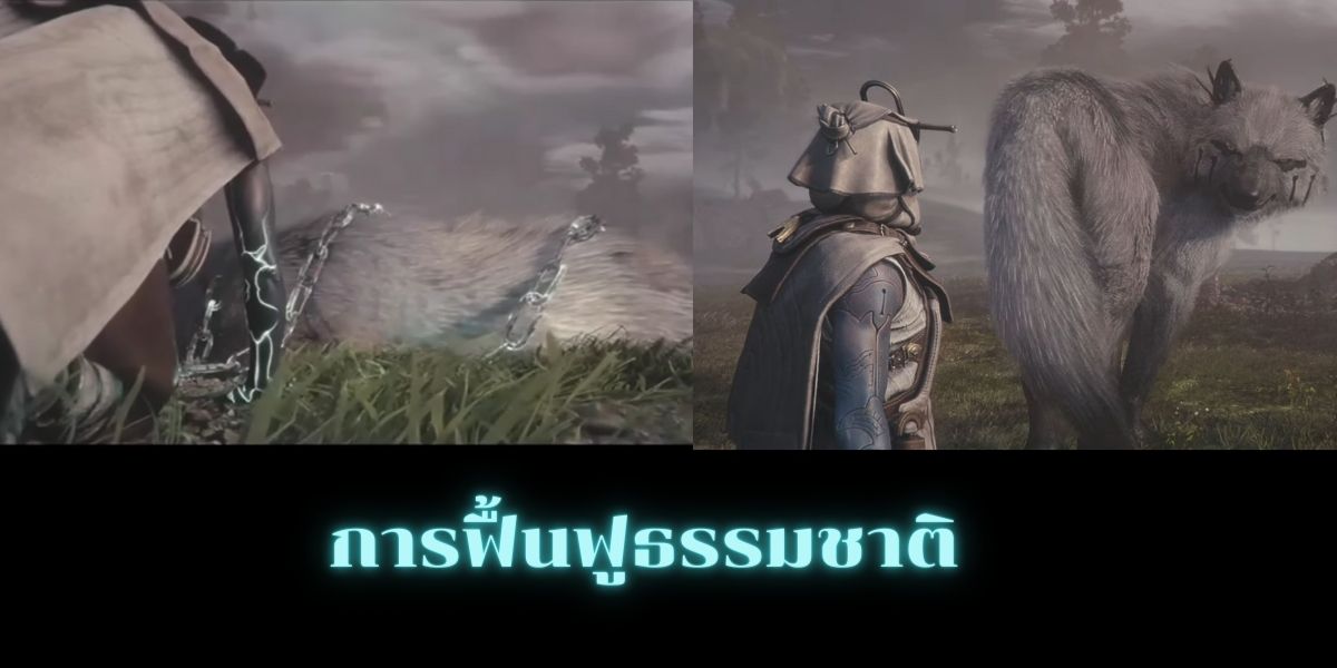 เกม Soulframe มีอะไรอัพเดตบ้าง