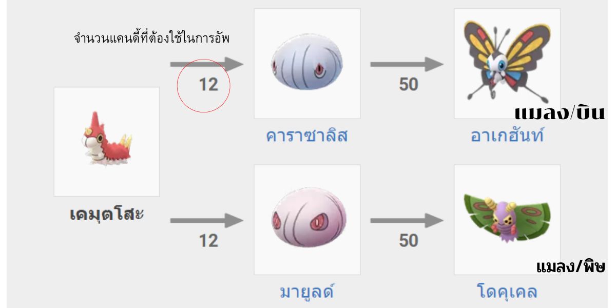 ข้อมูลวิวัฒนาการ Pokémon Go เคมุตโสะ