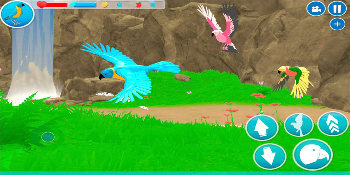 Parrot Simulator : Y8 ขอต้อนทุกท้านเข้าสู่เกมจำลองสถานการณ์การเอาชีวิตสุดเจ๋งบนเกาะมหัศจรรย์