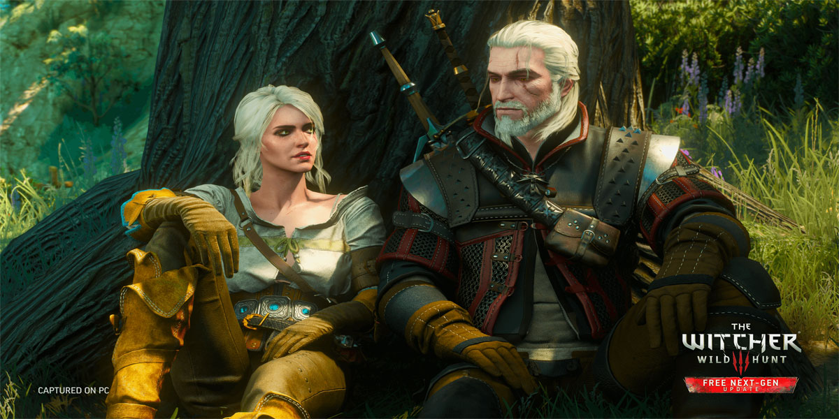 The Witcher 3 : Wild Hunt 2