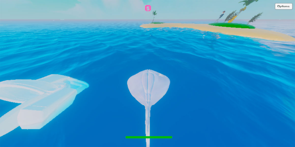 Surfing Stingrays : 2