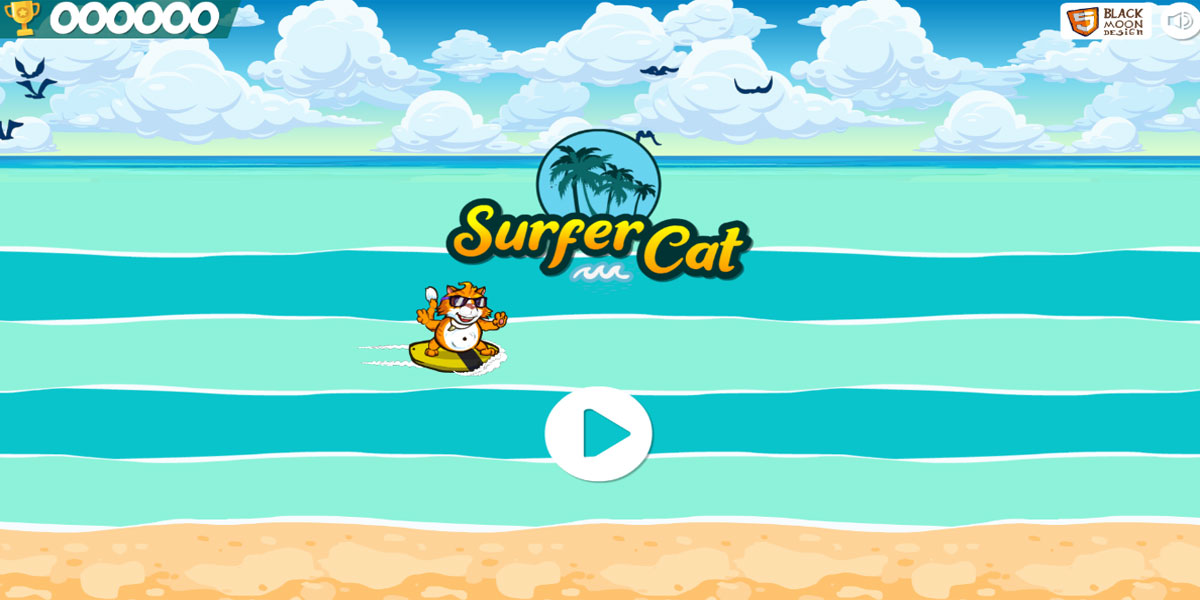 Surfer Cat : Y8