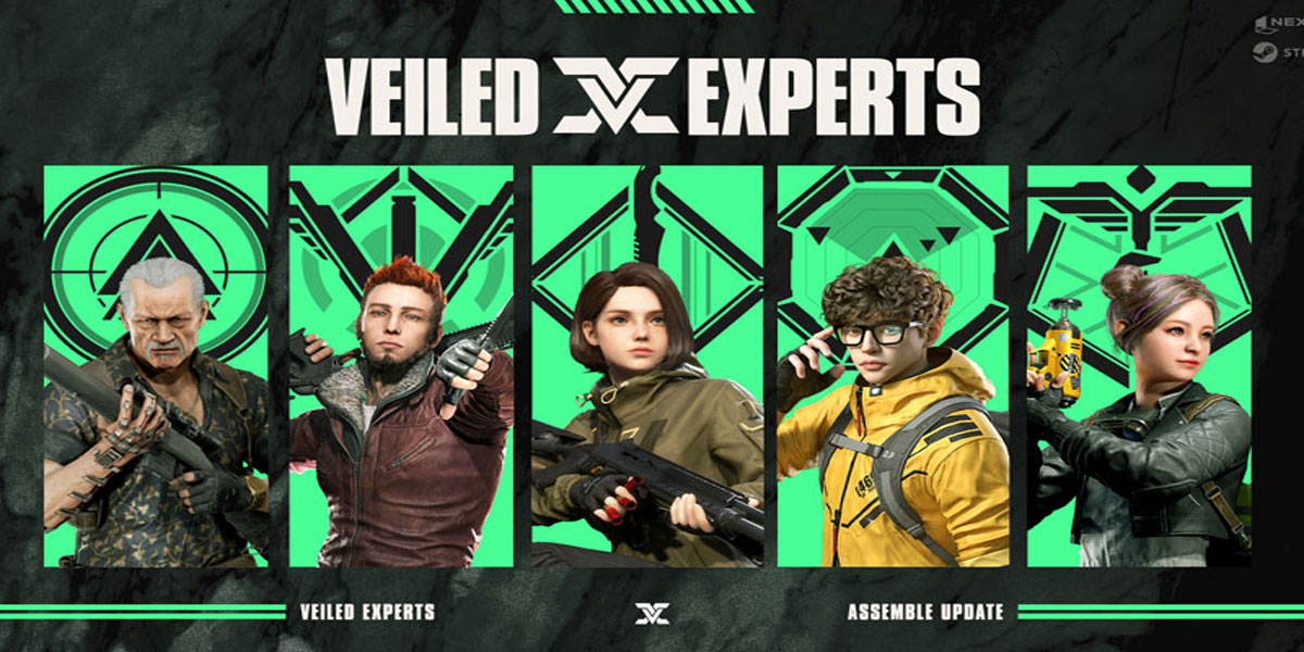 VEILED EXPERTS 2