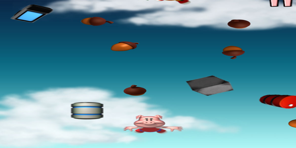 Flying-Pig--2